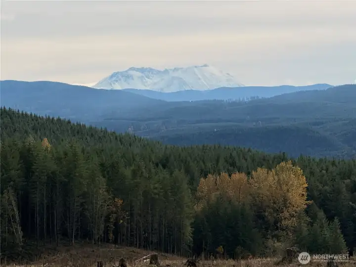Mt St Helens view from property.