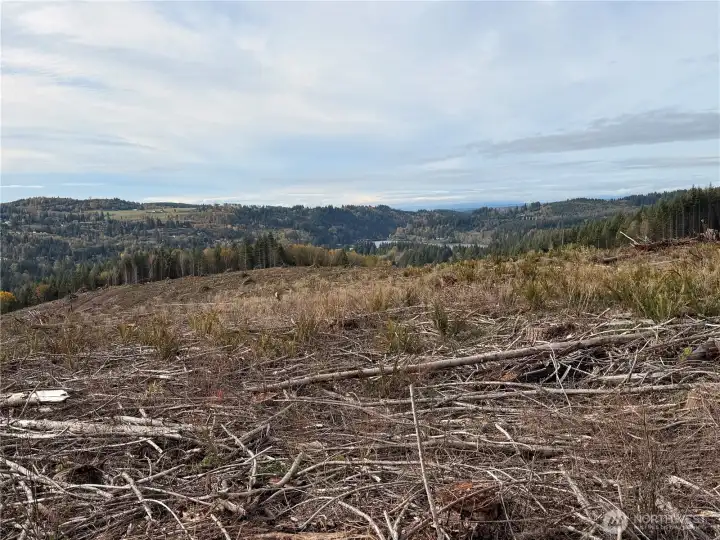 Numerous potential building sites to choose from on level to genlty sloping topography.