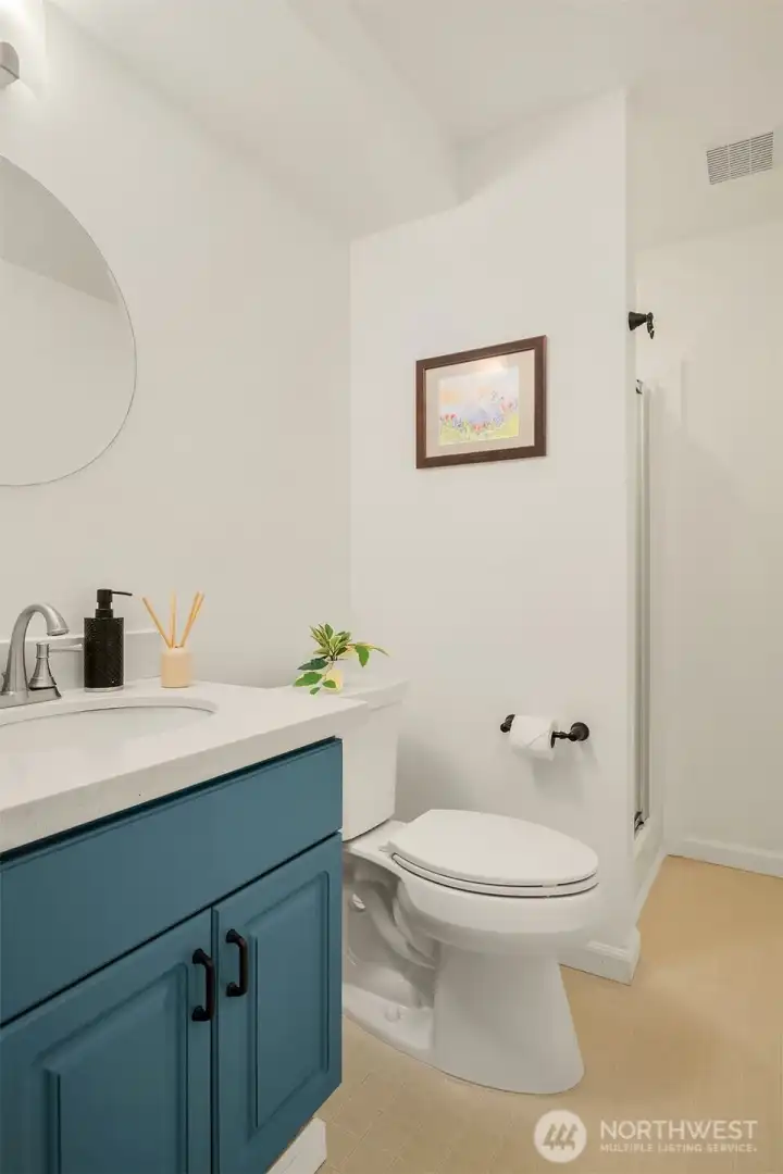 Lower level bathroom with shower