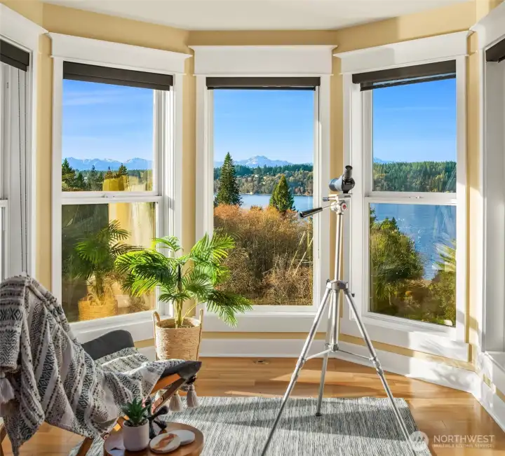 Look through the telescope at your showing to see the bald eagle family!