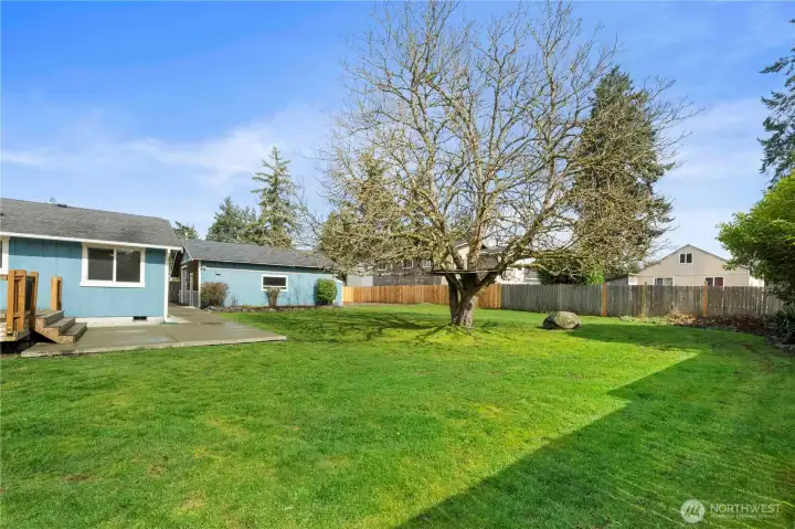 Another view of the huge backyard.