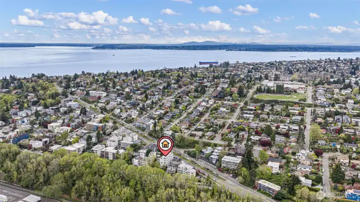 Overhead looking toward Elliott Bay.