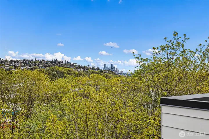 Peek-a-boo views of downtown Seattle.
