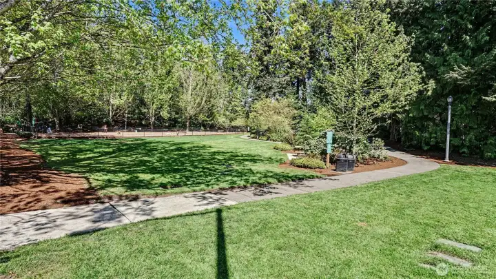 Serene park across from the condo.