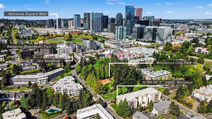 Aerial perspective captures the incredible location near Bellevue Square, Downtown Park, Old Bellevue, and Wildwood Dog Park right across the street.