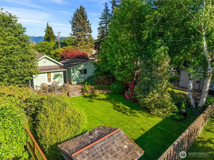 backyard backyard