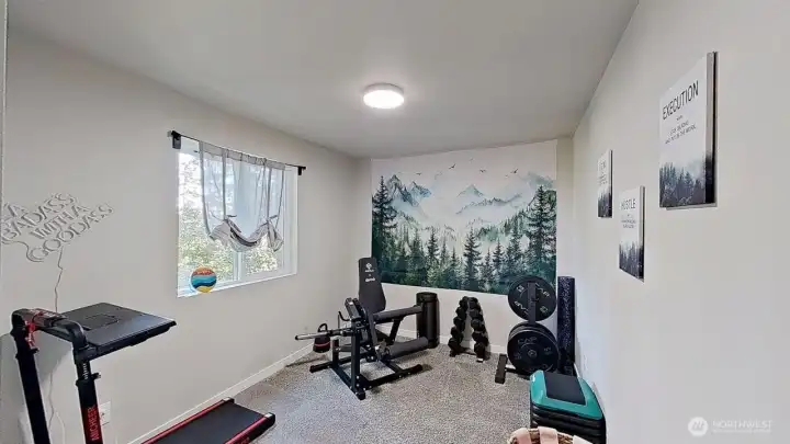 Lower level bedroom