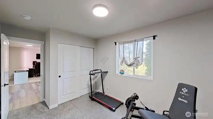 Lower level bedroom