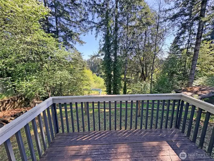 Back deck off lower level