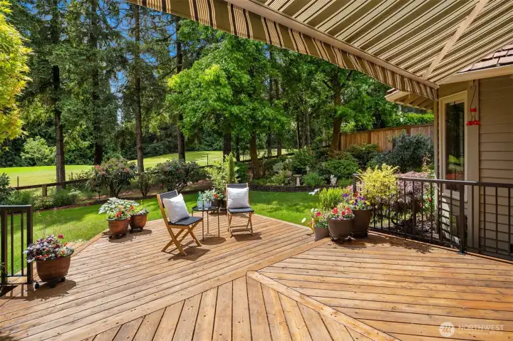 Retractable awning for sunny days! Retractable awning for sunny days!