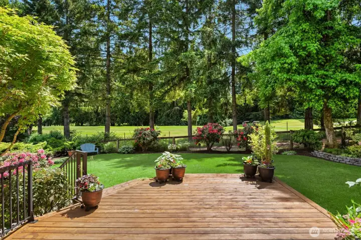 The perfect patio with Southern exposure. The perfect patio with Southern exposure.