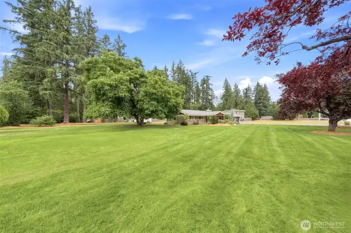 What a gorgeous lot & yard space What a gorgeous lot & yard space