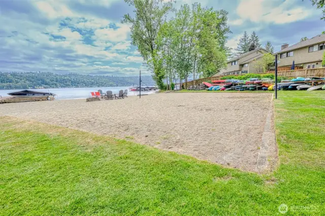 Volleyball court