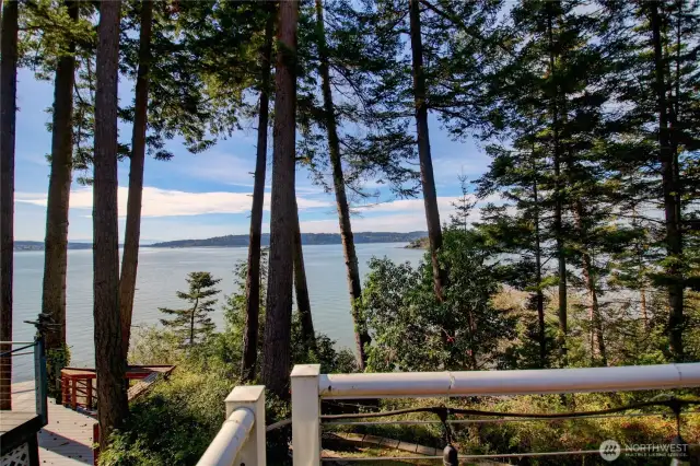 view from main deck