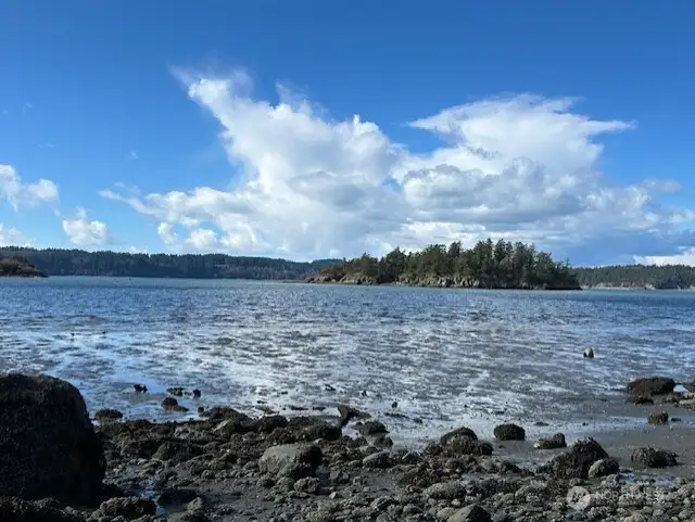 Low Tide