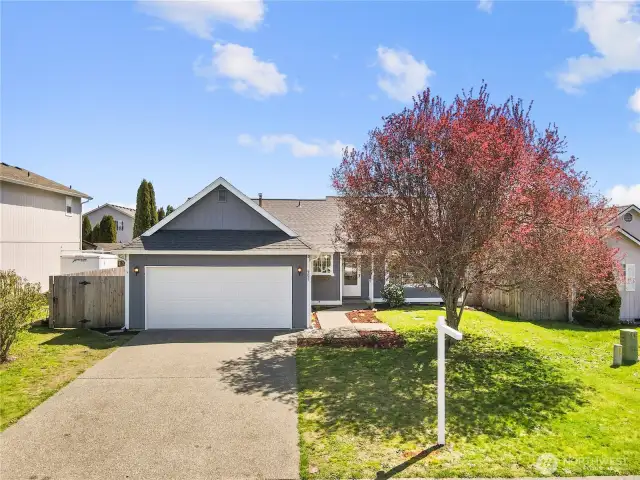 Larger open concept rambler right in the heart of Yelm! You will love 1 story living in this gorgeous home!
