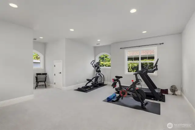 Bonus room/Media room/Playroom
