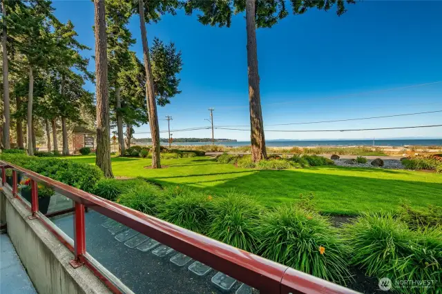 View from patio.
