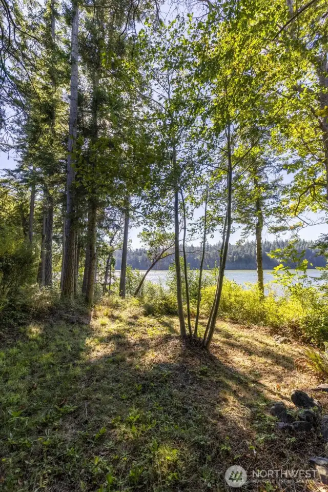 On the Waterside of the property, follow the road down the hill to this wonderful view area, a perfect spot for a Gazebo!
