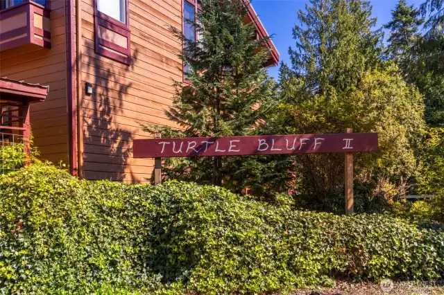 Add your own personal touch of creativity to Turtle Bluff II!