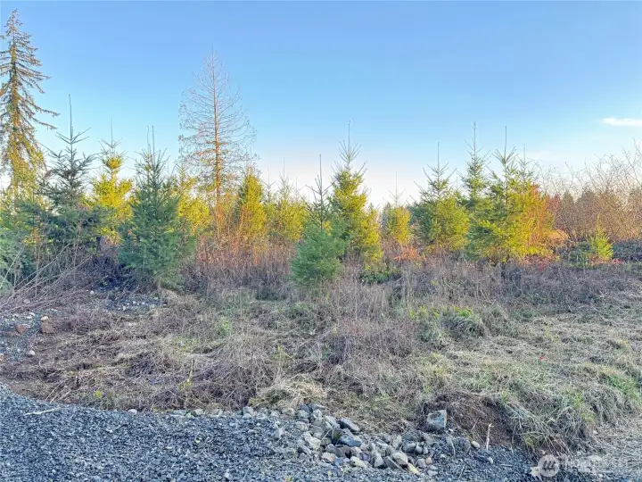 Super easy to develop homesite