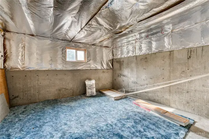 Lower Level unfinished room...