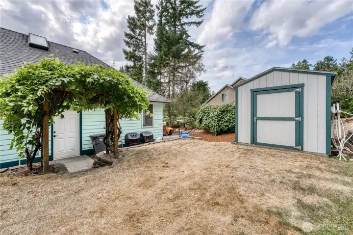 Grape Arbor and Outbuilding....