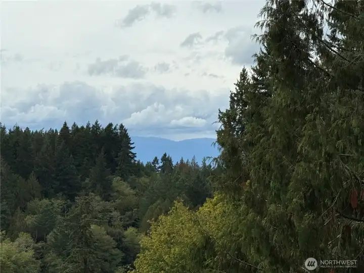 Olympic mountain views from both lower and second levels.