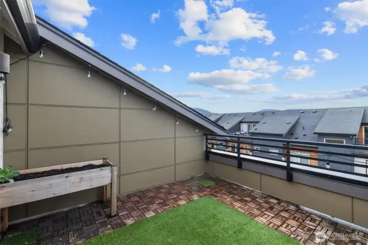 Rooftop deck + view.