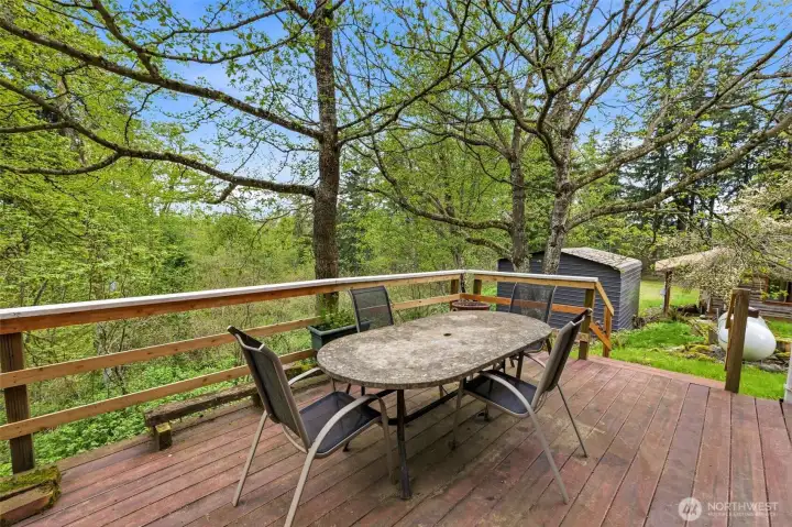 Back deck