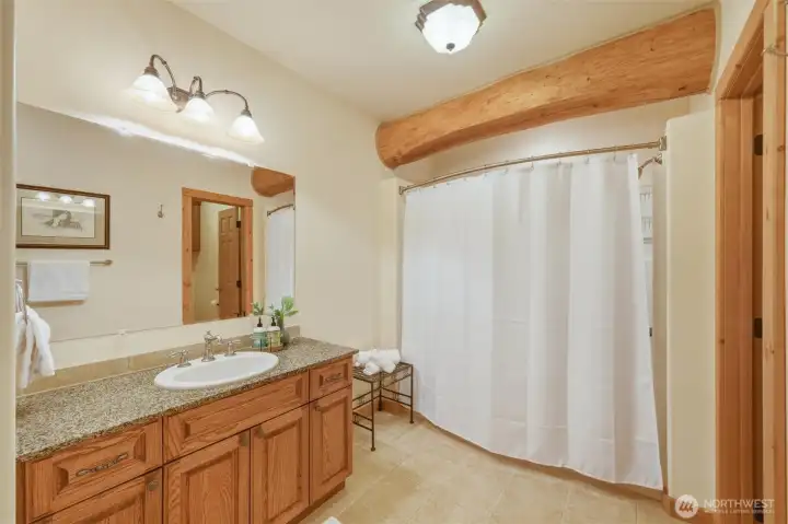 Lower level ensuite bath