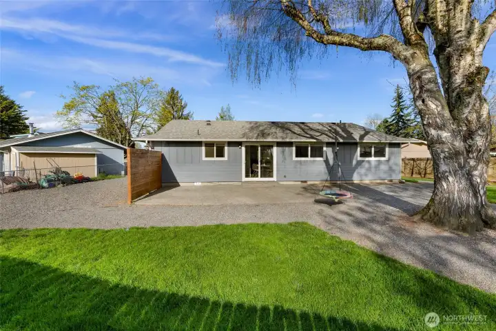 Centerpiece tree and swing