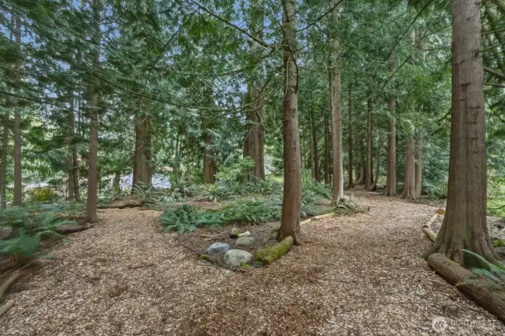 Trails throughout the property
