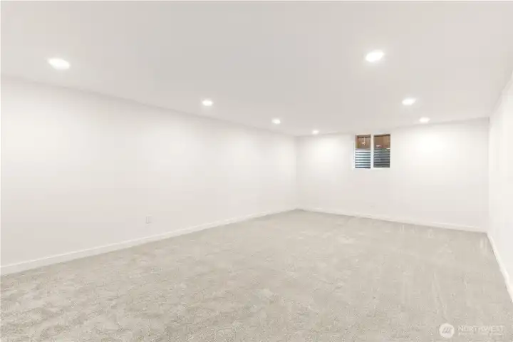 Bonus room in basement area