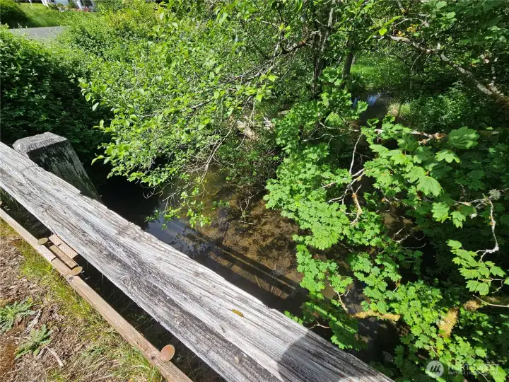 bridge bridge
