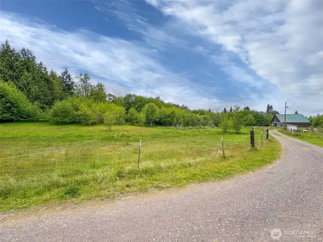 Part of the property, notice red spot on the right, that is the line, your neighbors property in the background