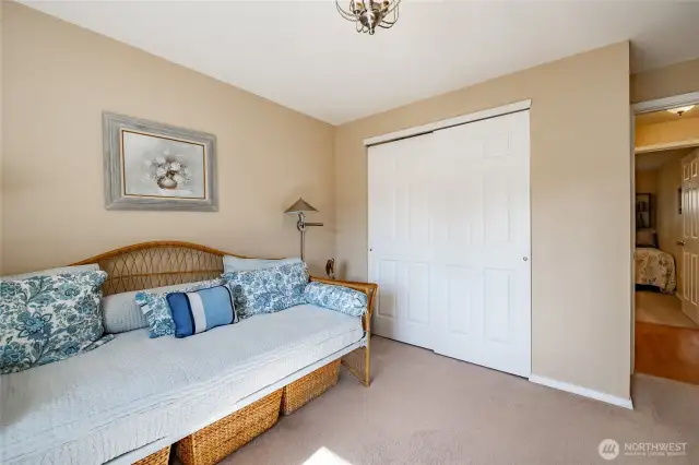 Guest bedroom or media room