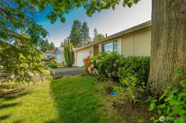 Single level with mature landscaping. Birch Bay Water & Sewer