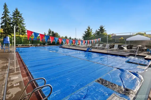 Community Pool