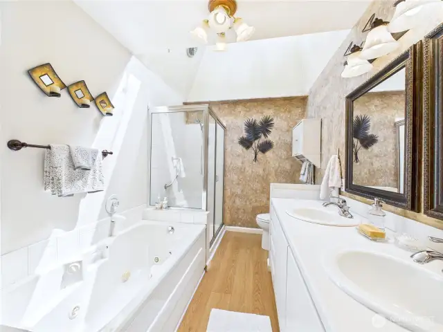 The bathroom has it all; soaking tub and walk-in shower. Double sinks and a huge skylight.
