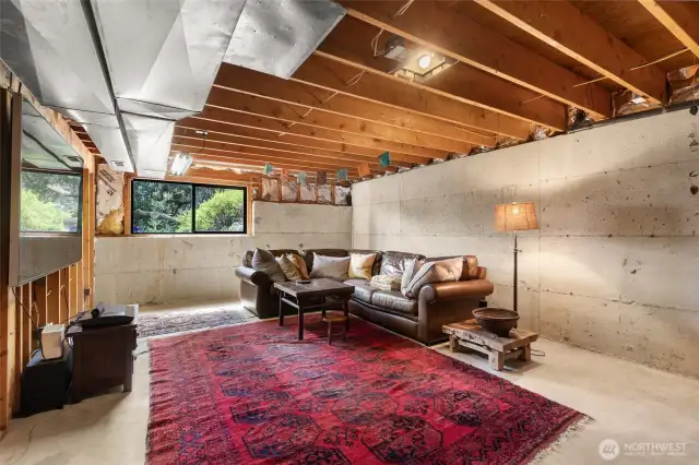 Unfinished extra room in lower level ready for your ideas!