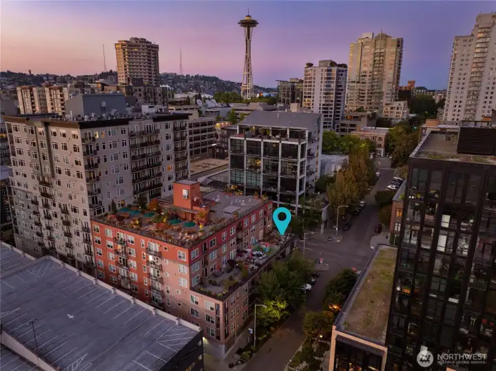 Set ideally close to the Olympic Sculpture Park, Seattle Center, Pike Place Market, the newly renovated waterfront, and all that Belltown/downtown has to offer.