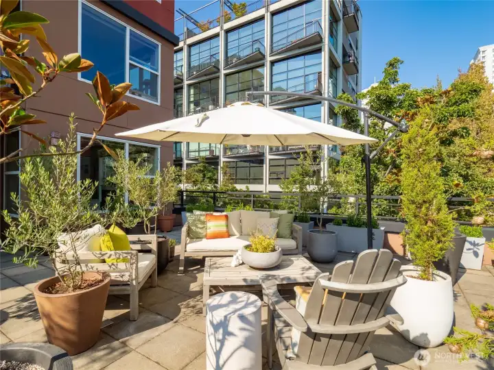 Soak up the last bits of summer sunshine on the terrace, or watch Fall colors sweep in from your perch above the city.