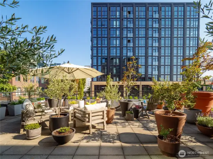Relax with morning coffee, a good book, or good friends in this one-of-a-kind space.