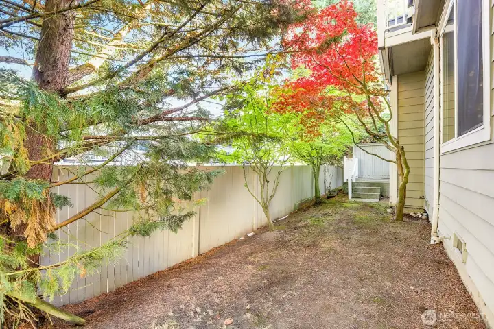 Backyard space