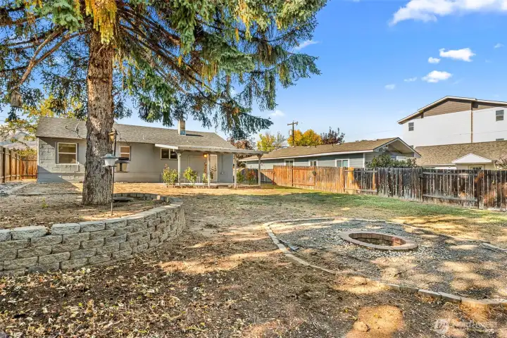 Backyard