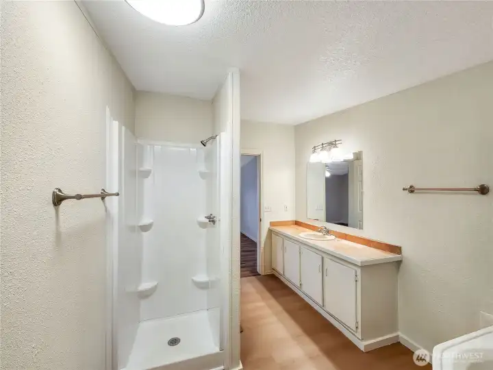 Separate shower and soaking tub.