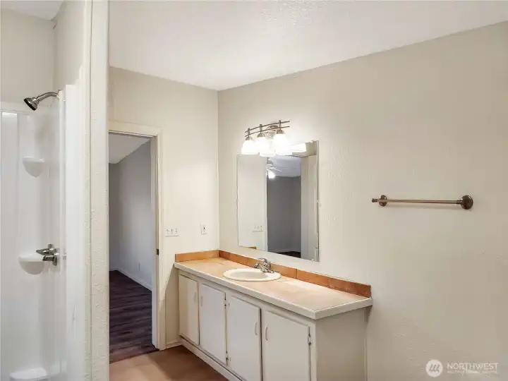 The primary bath is large and has ample counter space.