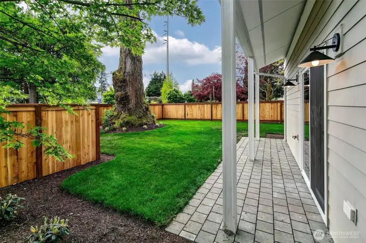 Patio / backyard