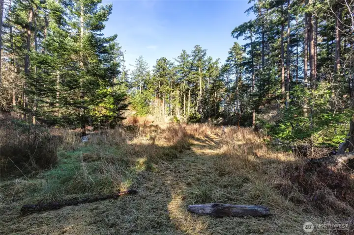 Level and partially cleared .48-acre homesite surrounded by native trees and natural vegetation — an ideal setting to build your dream island home.
